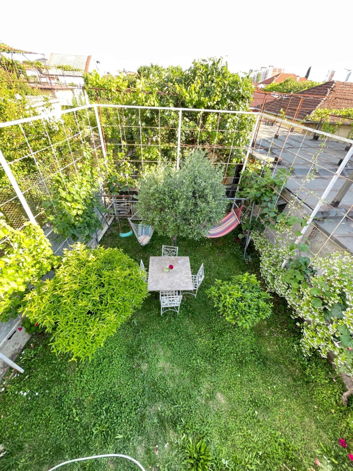 Vila Nela Shkodër Dış mekan fotoğraf