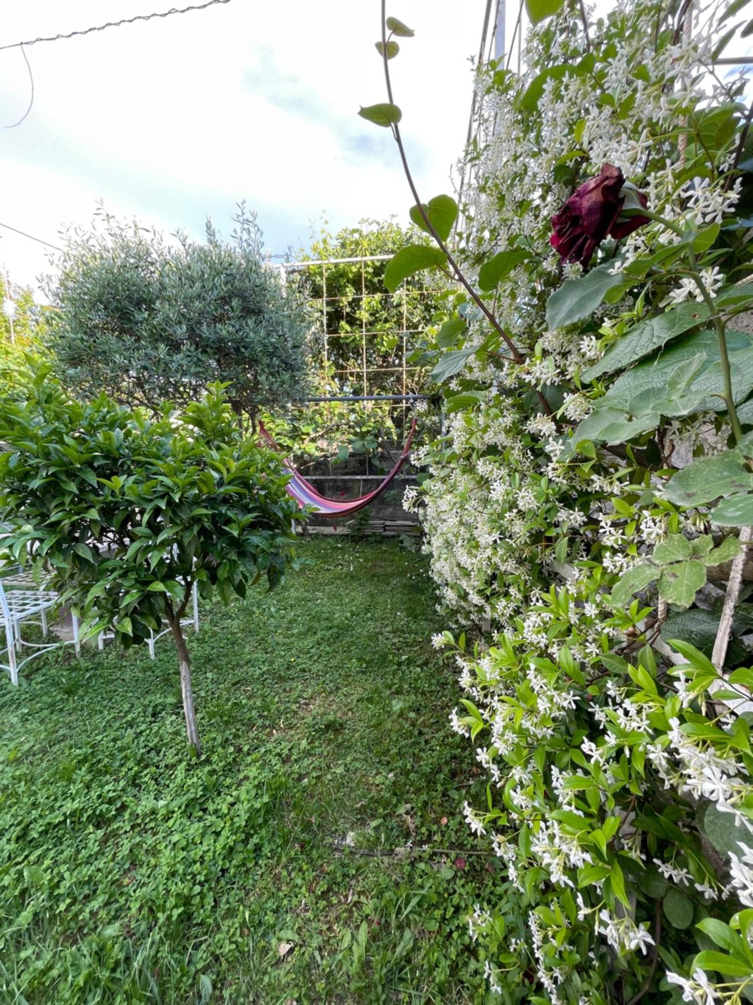 Vila Nela Shkodër Dış mekan fotoğraf