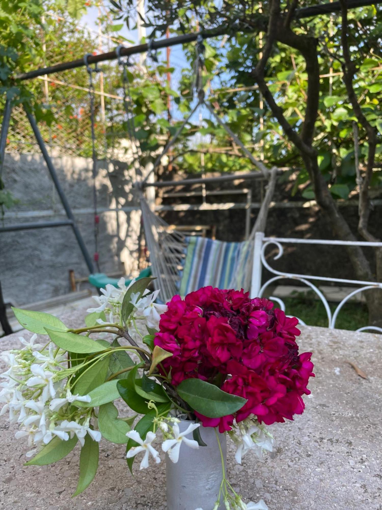 Vila Nela Shkodër Dış mekan fotoğraf