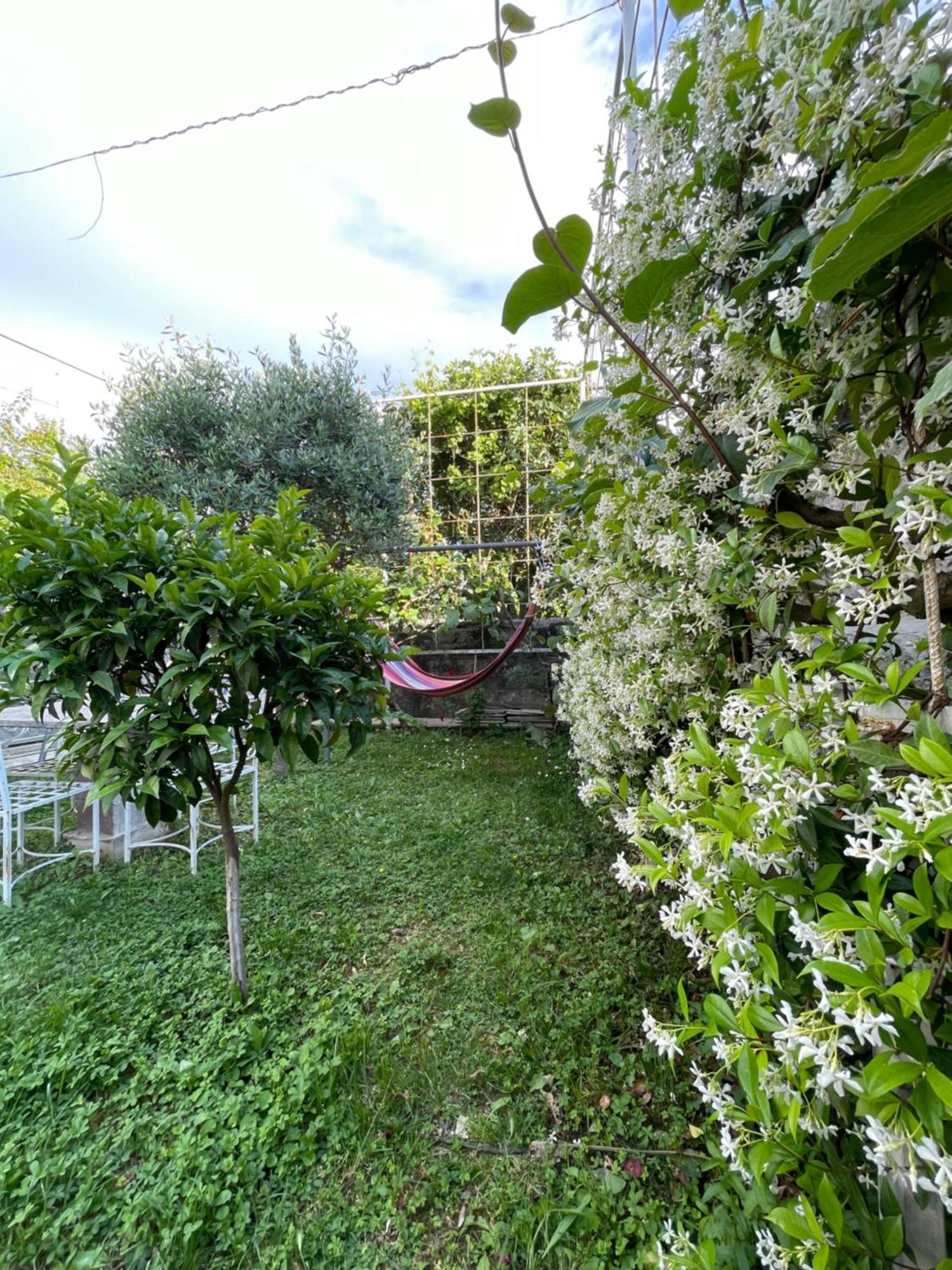 Vila Nela Shkodër Dış mekan fotoğraf