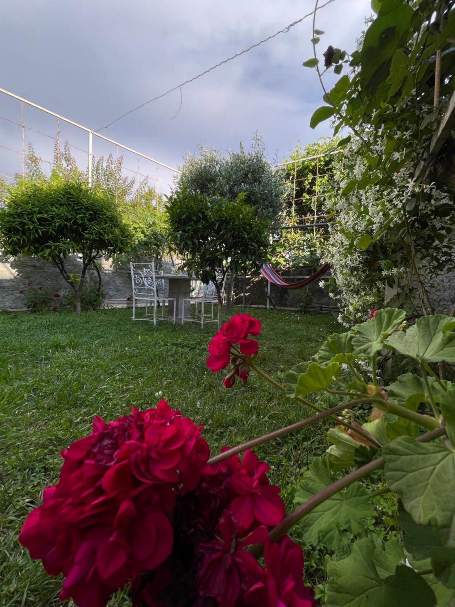 Vila Nela Shkodër Dış mekan fotoğraf