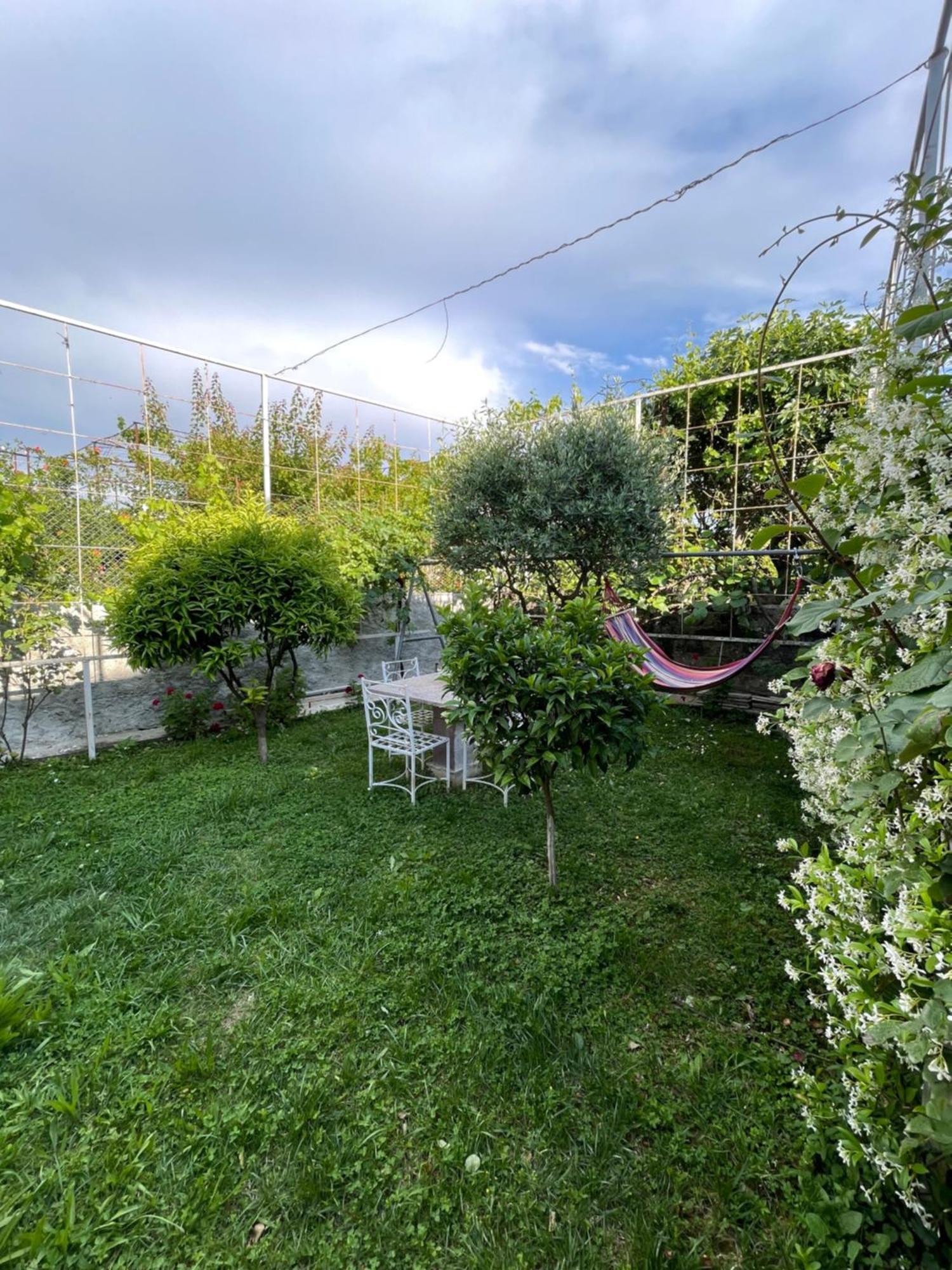 Vila Nela Shkodër Dış mekan fotoğraf