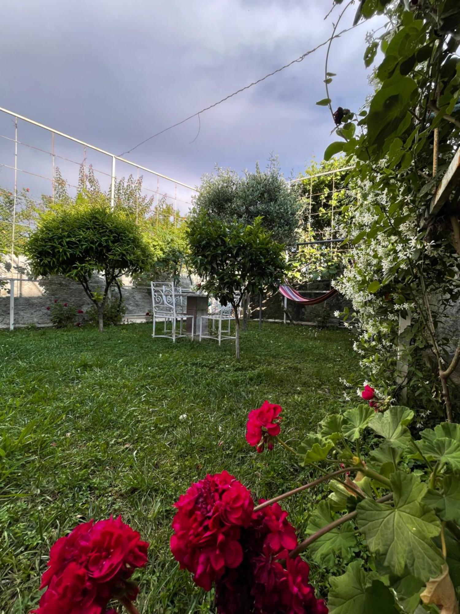 Vila Nela Shkodër Dış mekan fotoğraf